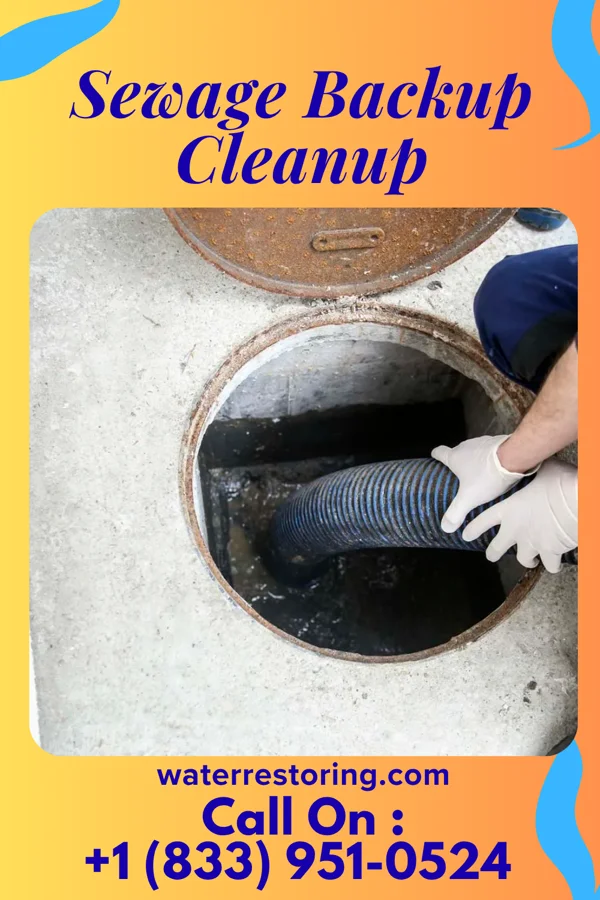 Sewage Backup Cleanup in Green Valley, MD