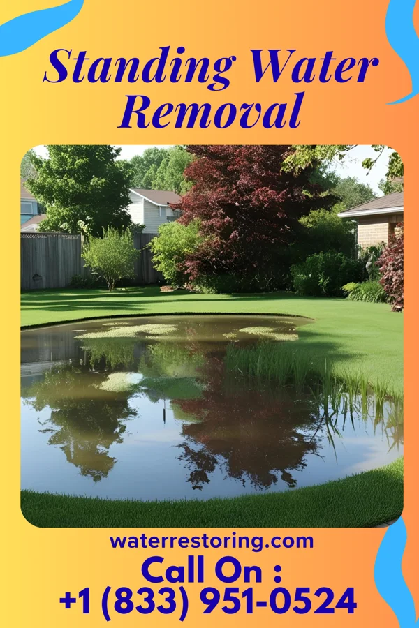 Standing Water Removal in Green Valley, MD